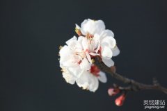 望城網(wǎng)站設(shè)計(jì)